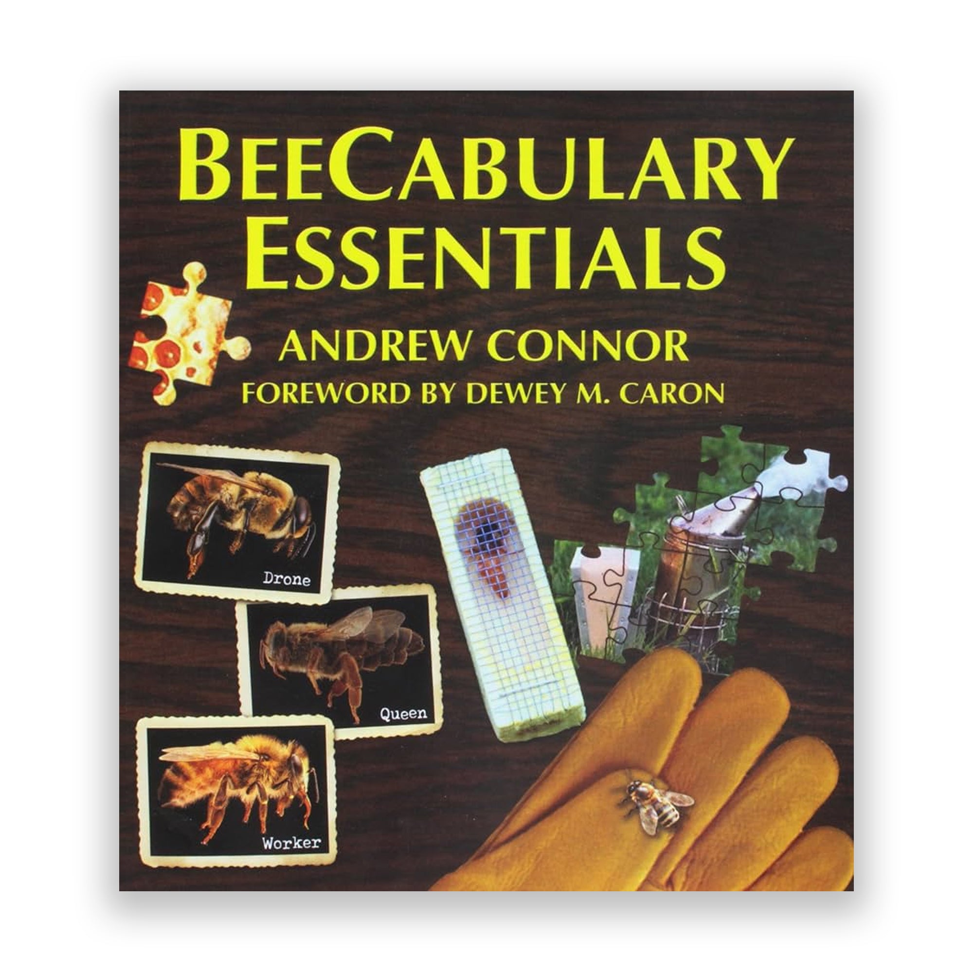 BeeCabulary Essentials Paperback Book