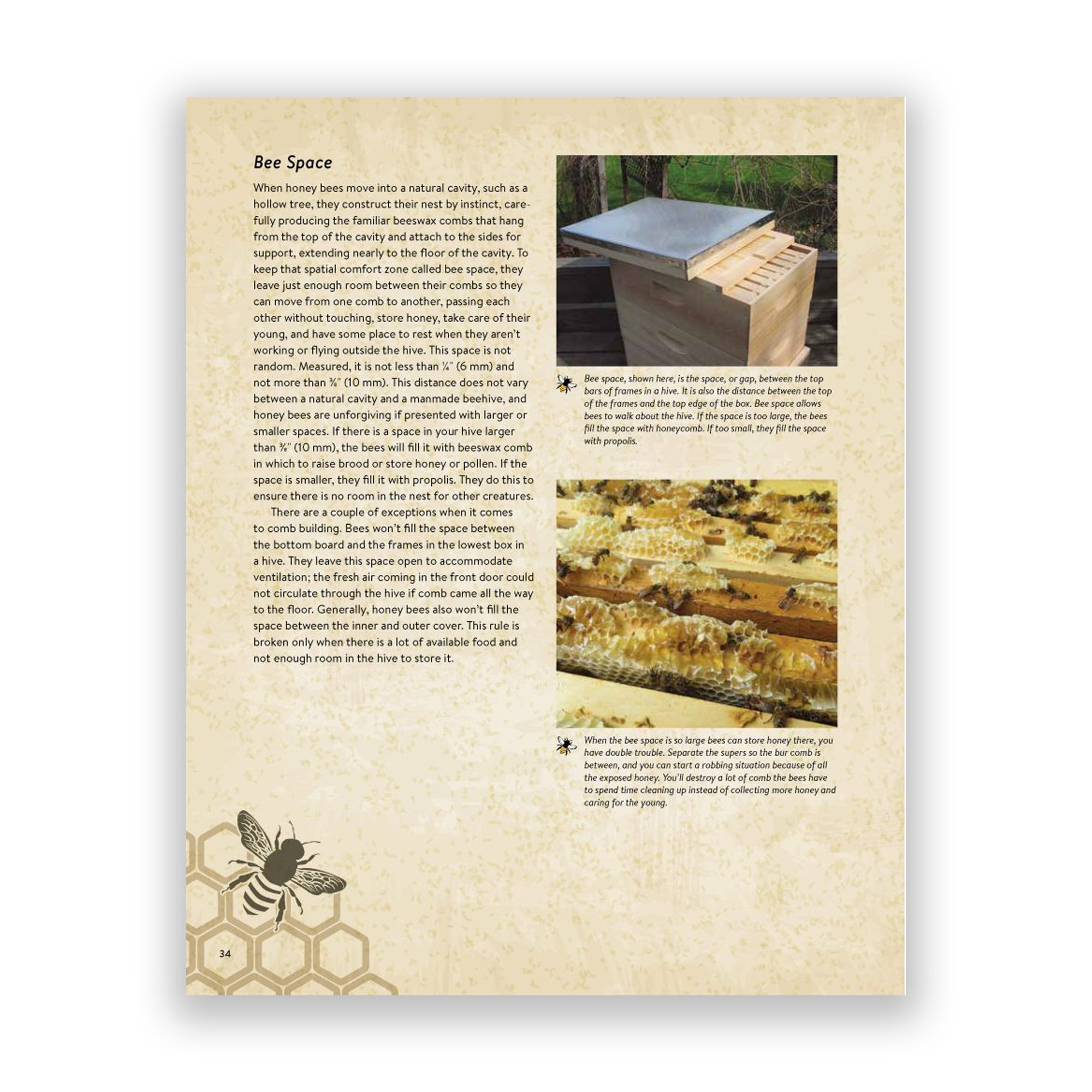 The Backyard Beekeeper Paperback Book