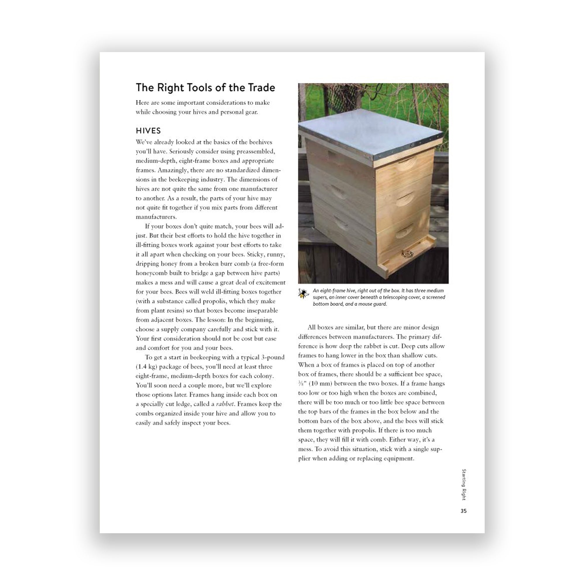 The Backyard Beekeeper Paperback Book