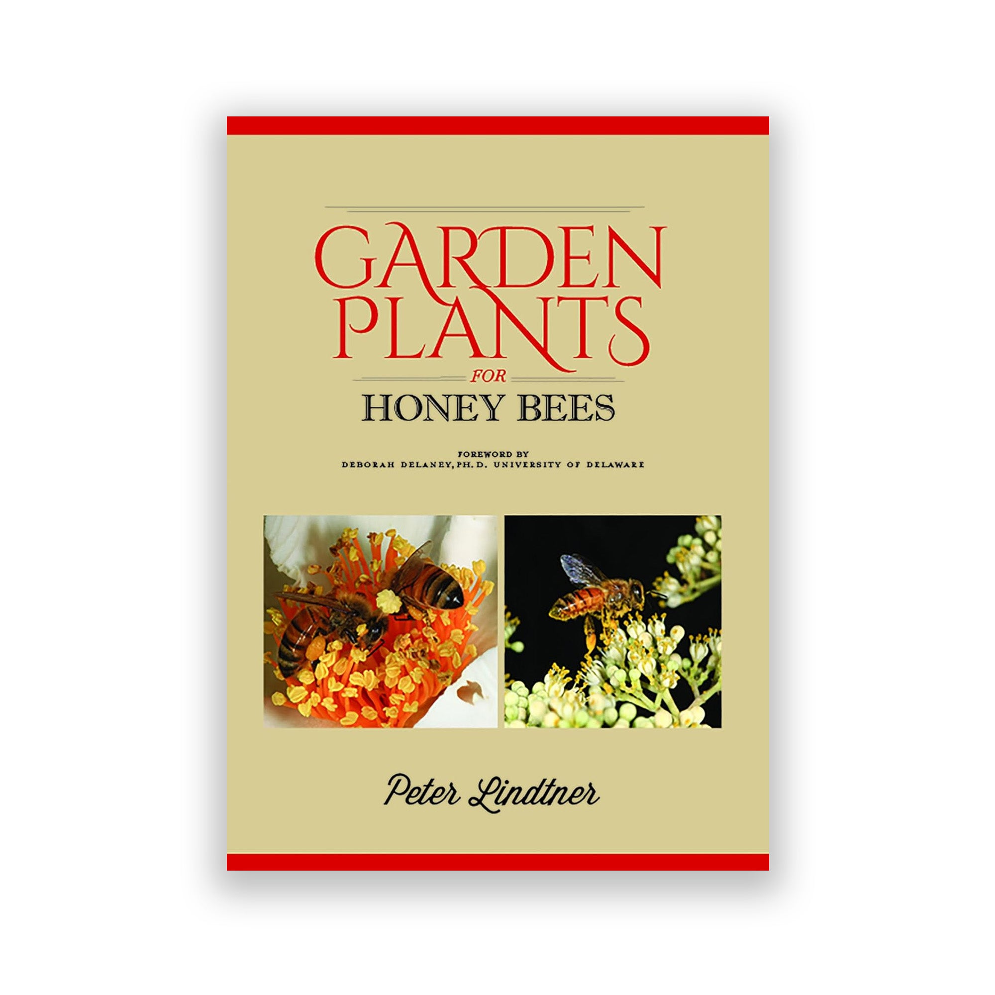 Garden Plants for Honey Bees Hardcover Book