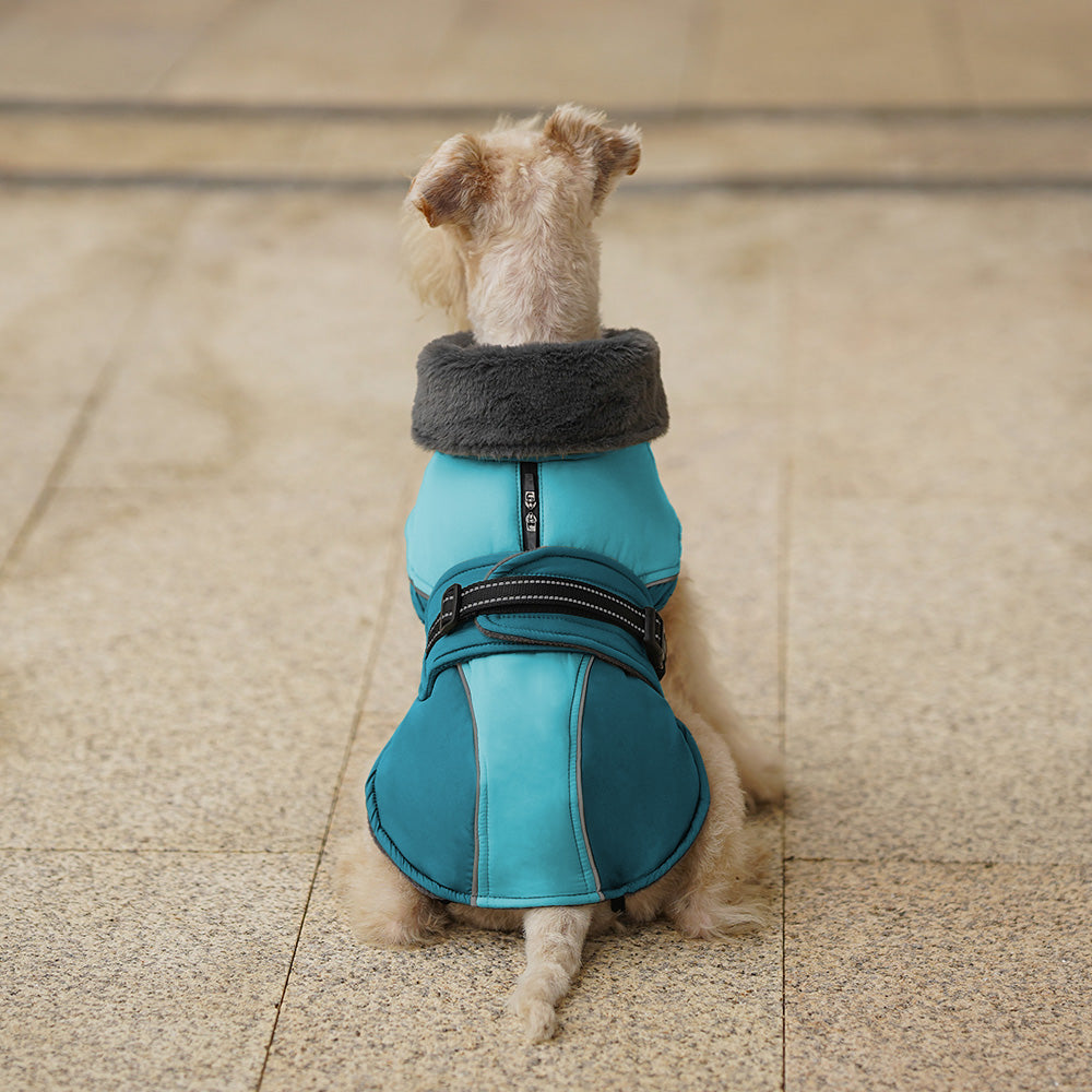 Hunting Dog - Waterproof Jacket