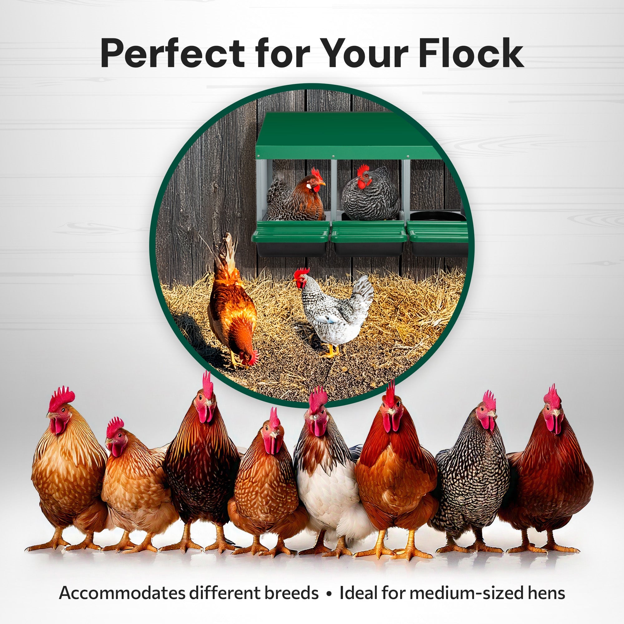 3 Compartment Roll Away/ Roll Out Chicken Nesting Box with Classic Trays/Lids