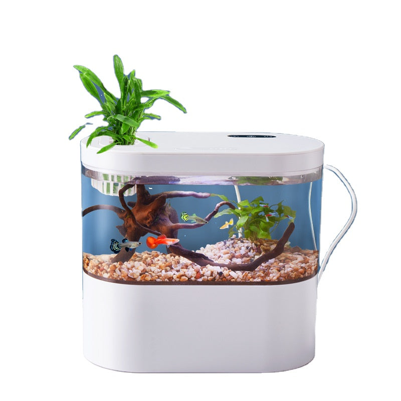 Hydroponic Fish Tank for Plants & Herbs