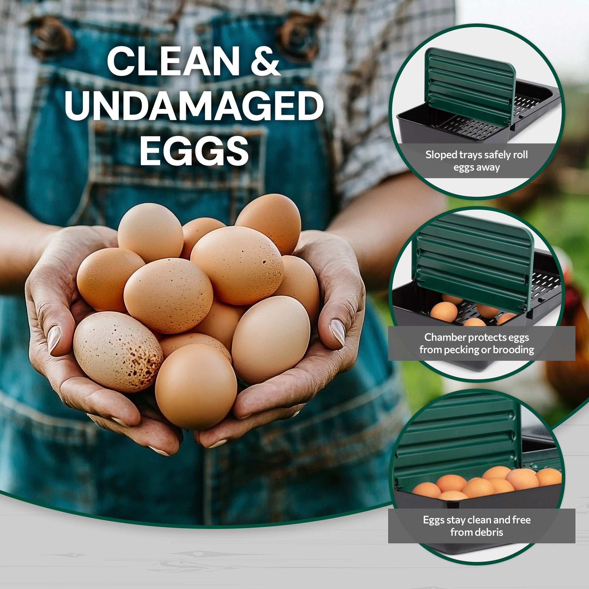 3 Compartment Roll Away/ Roll Out Chicken Nesting Box with Compact Trays/Lids