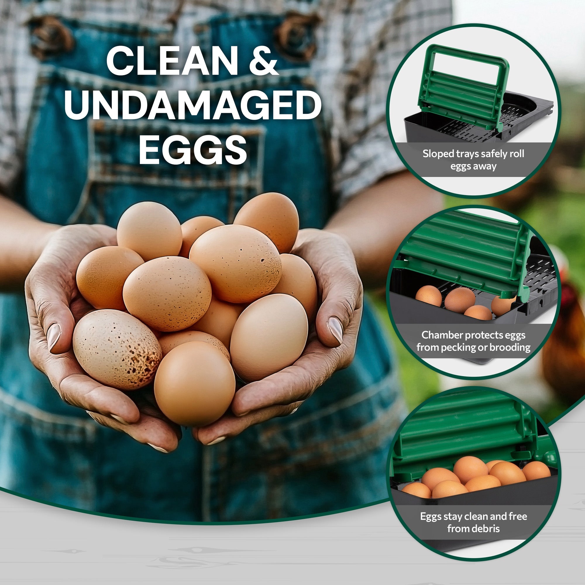 3 Compartment Reverse Roll Away/ Roll Out Chicken Nesting Box with Classic Trays/Lids & 2 Perches